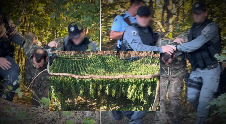 Momenti kur arrestohet i dyshuari për kultivimin e drogës në Pejë (VIDEO)