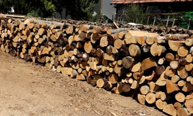 Bie çmimi i drurit në Kosovë
