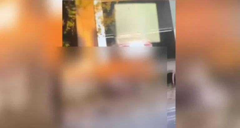 Publikohen pamjet e rënda nga krimi që tronditi Shqipërinë, trupat e pajetë të shtrirë në tokë (VIDEO)