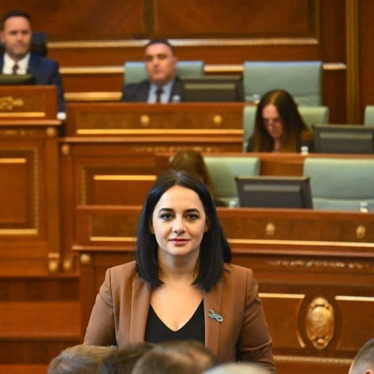 Kuvendi në pritje, VV në pritje – Fitore Pacolli: Ja pse nuk i kemi votat