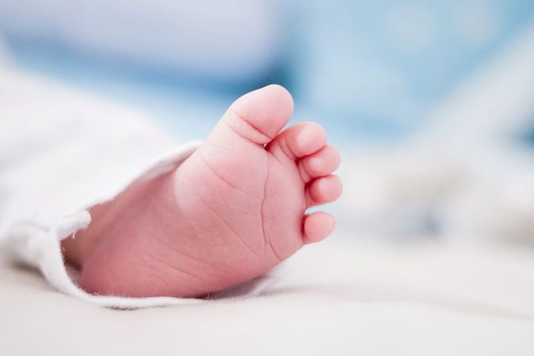 Pamje nga vendi i ngjarjes ku u gjet foshnja e porsalindur