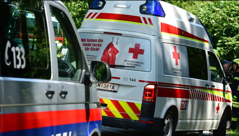 Vdes në Austri i riu nga Kosova