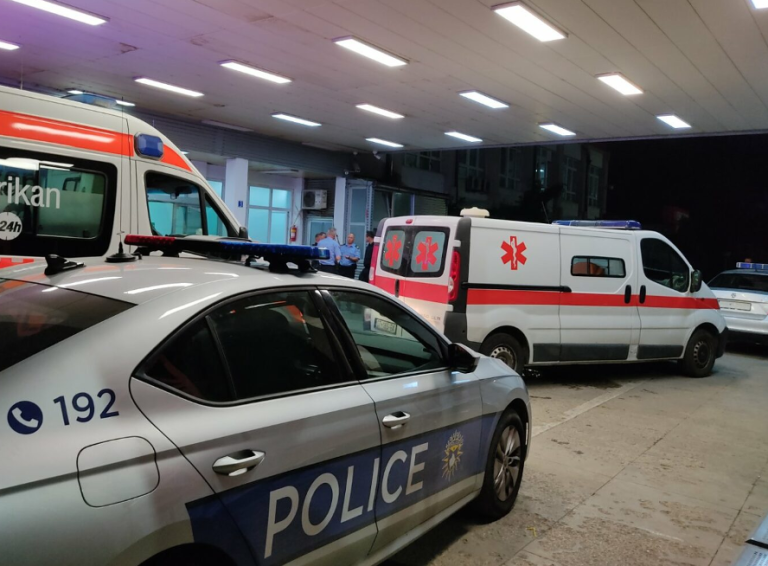 5-vjeçari sulmohet nga ujku në oborrin e shtëpisë, kjo është gjendja e tij
