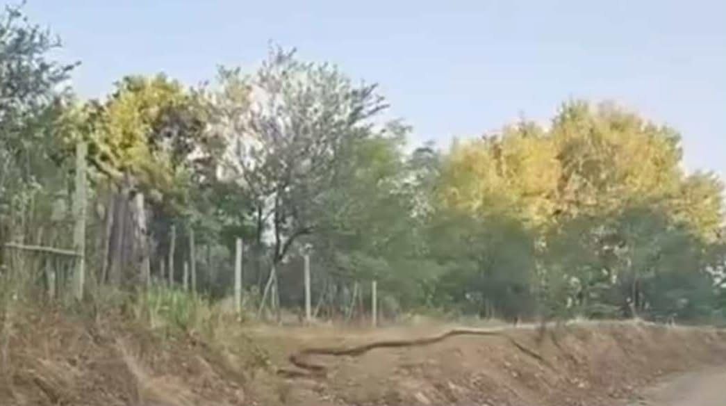 Dalin pamjet – Gjarpër disa metrash filmohet në Suharekë