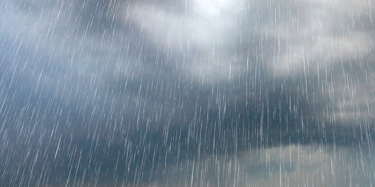 Bien temperaturat, ky është moti për të premtën