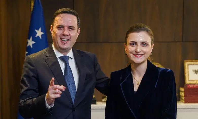 Ekspertja e energjisë Janina Ymeri kandidate e LDK-së për deputete