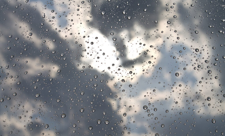 Parashikimi i motit për nesër dhe ditët në vazhdim, rikthehen reshjet e borës