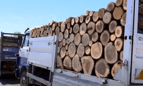 “Njerëzit kanë hequr dorë nga ngrohja me dru”, ankohen drushitësit – bizneset e tyre drejt mbylljes