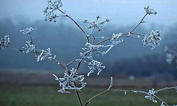 Ky është moti për sot dhe 4 ditët e ardhshme