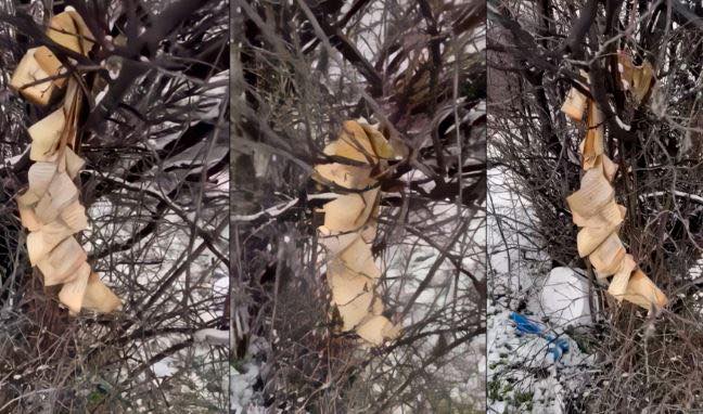 E tmerrshme: Digjet Kurani në Gjakovë