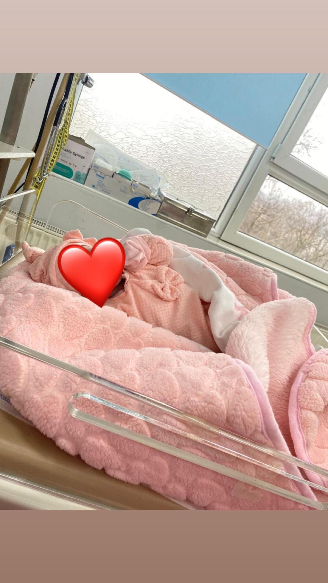 Vdes e sapolindura e familjes Azemi në Mitrovicë