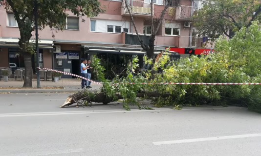 Erërat e forta, Komuna thirrje qytetarëve: Kujdes…