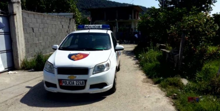 E rëndë në Maliq: Vritet një polic, plagoset një tjetër